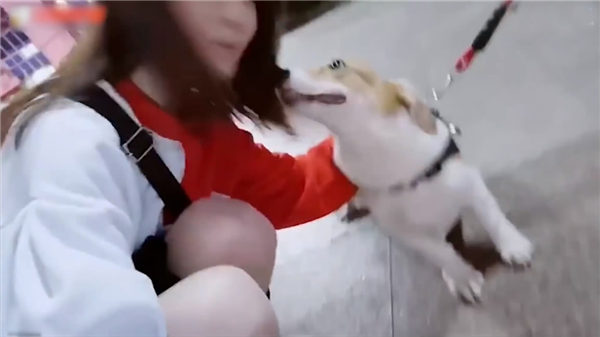 冯提莫偶遇单身狗