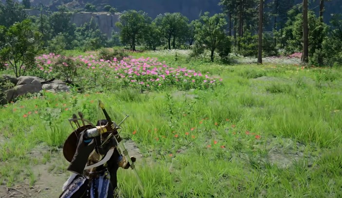 《赤血沙漠 Crimson Desert》怎麼在前期拿到好的武器和防具