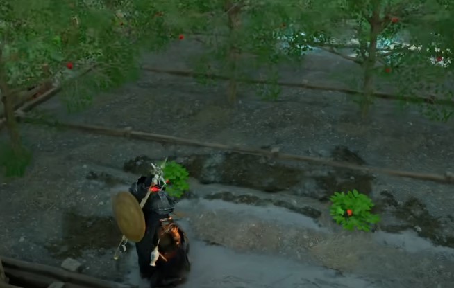 [붉은사막] 씨앗을 빨리 자라게 하는 법