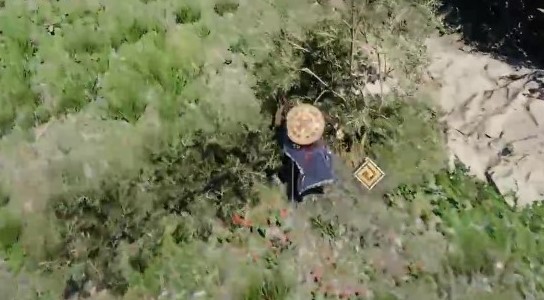 [붉은사막] 미니맵 옆 노란색 게이지의 정체는?